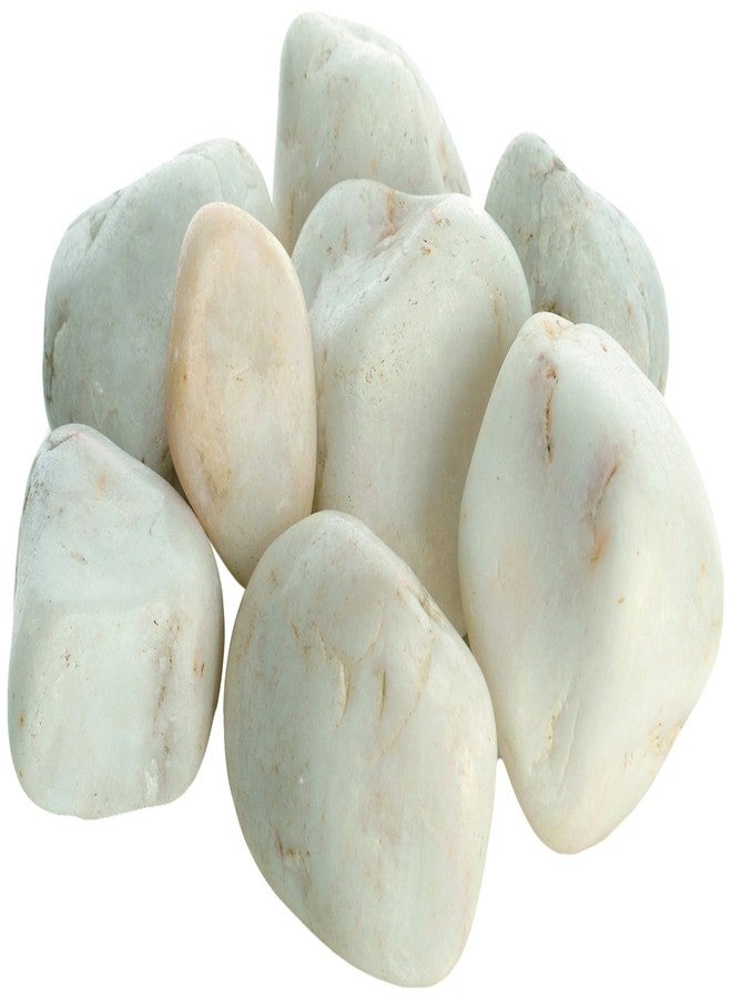 biOrb مجموعة حصى رخامية من بي أورب، زينة صلبة لأحواض السمك، أبيض - Image 1